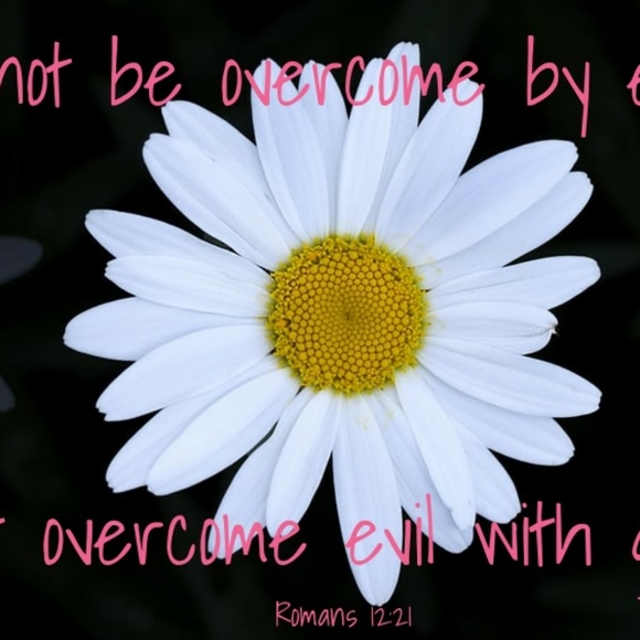 Meet your Posher, Lori - Picture 4 of 6